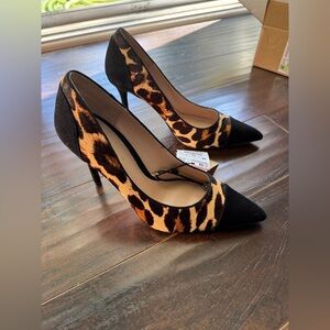 Zara Leopard Haircalf Suede Cap Toe Pointed Pumps EU 38 US 7.5 NWT